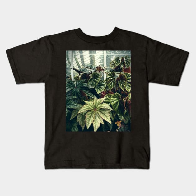 Beautiful Begonias Kids T-Shirt by oliviastclaire